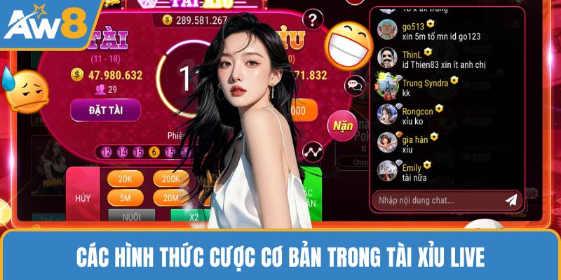 Các hình thức cược cơ bản trong Tài Xỉu Live