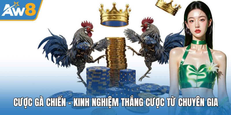 Cược Gà Chiến
