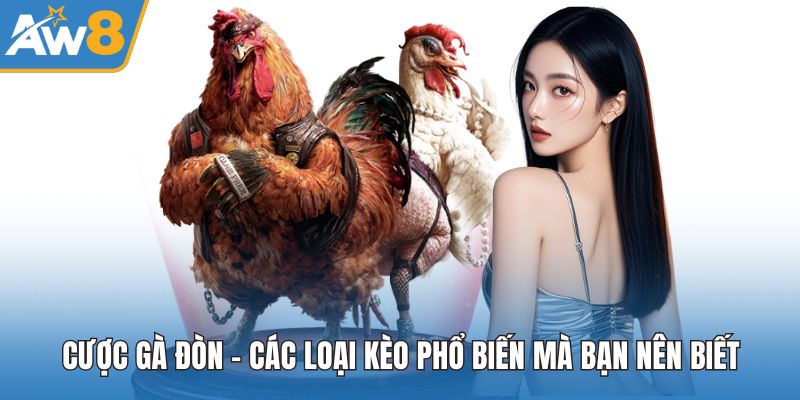 Cược Gà Đòn
