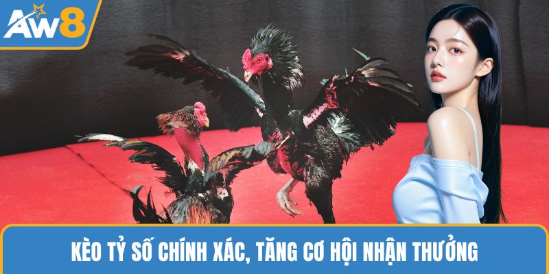 Kèo tỷ số chính xác, tăng cơ hội nhận thưởng
