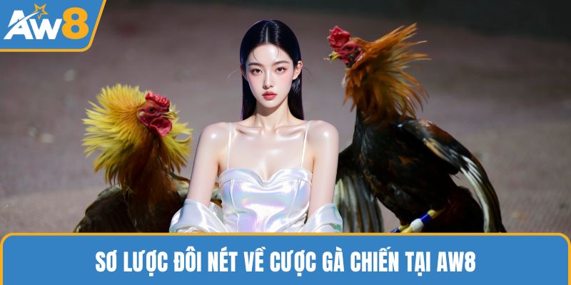 Sơ lược đôi nét về cược gà chiến tại AW8