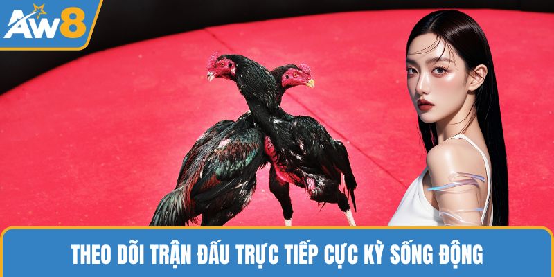 Theo dõi trận đấu trực tiếp cực kỳ sống động