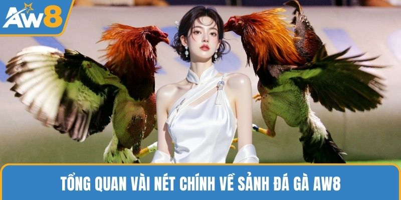 Tổng quan vài nét chính về sảnh đá gà AW8