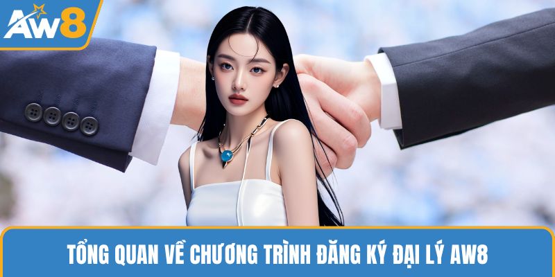 Tổng quan về chương trình đăng ký đại lý AW8